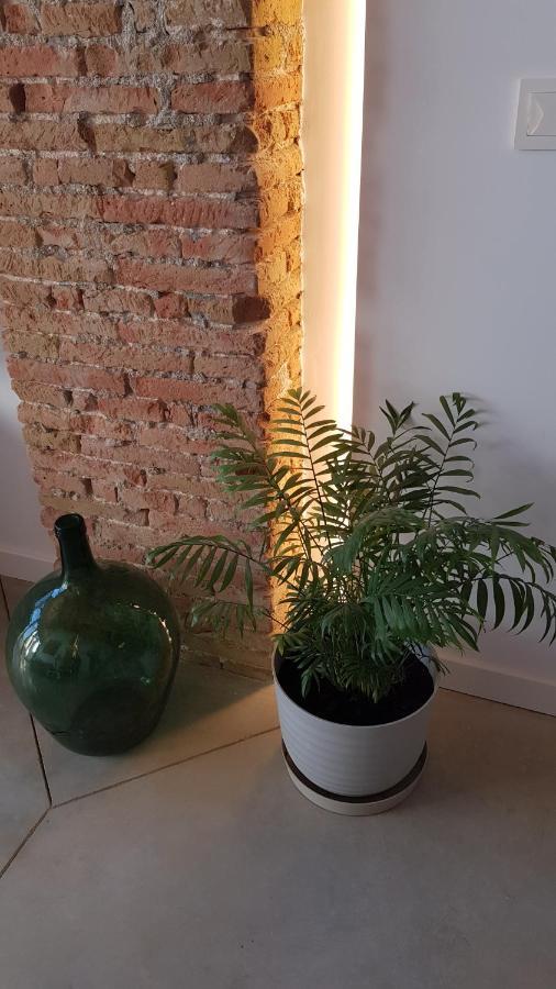 Loft Mariola - Apartamento En El Centro Historico Bocairent Εξωτερικό φωτογραφία